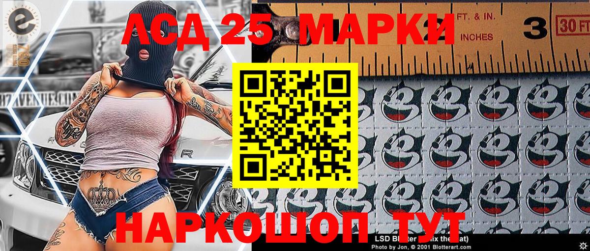 Марки N-bome 1500мкг  Вход с VPN  Елизово  Марки N-bome 1500мкг 