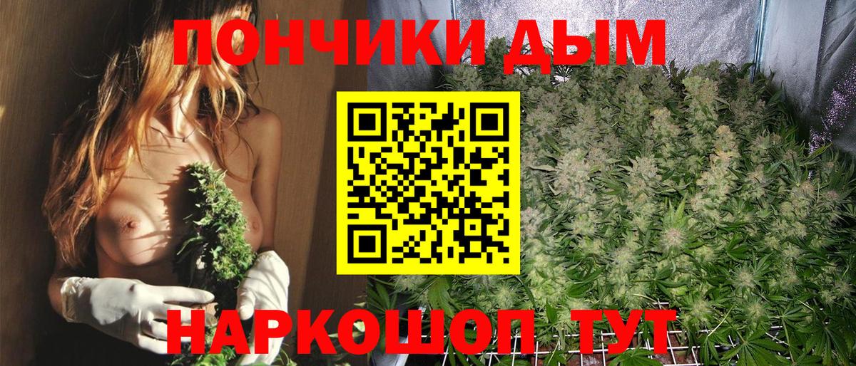 Елизово  Бошки марихуана сатива  Шишки марихуана AK-47  Конопля AK-47  Каннабис LSD WEED  Вход с VPN 